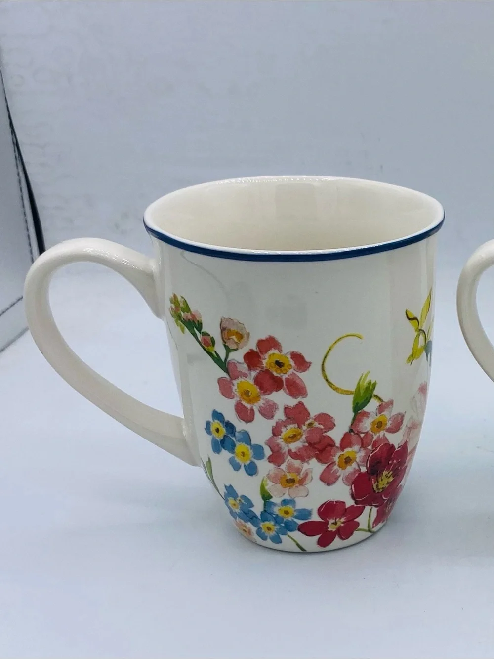 Pottery Barn China Floral Rim Collection Set of 2 Discontinued